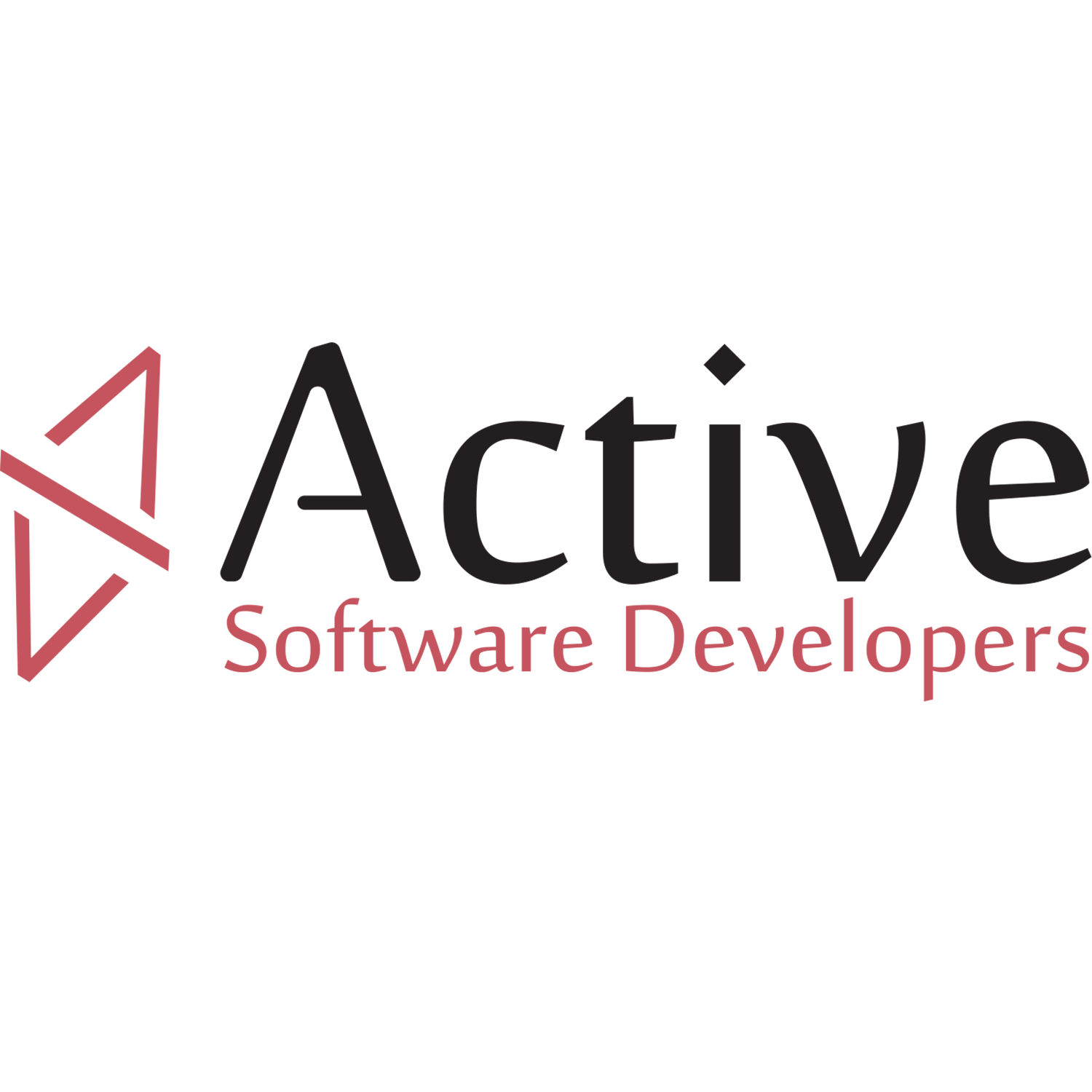 ASD(Active Software Developers)